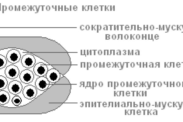 Kraken 4 ссылка