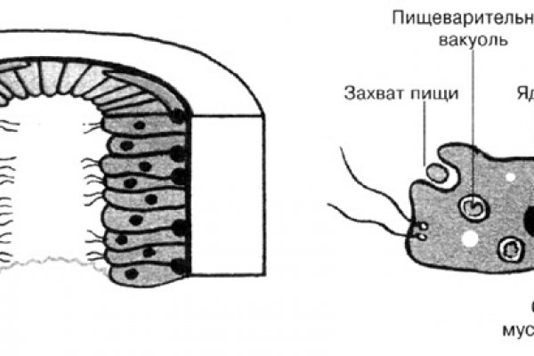 Kra33.at