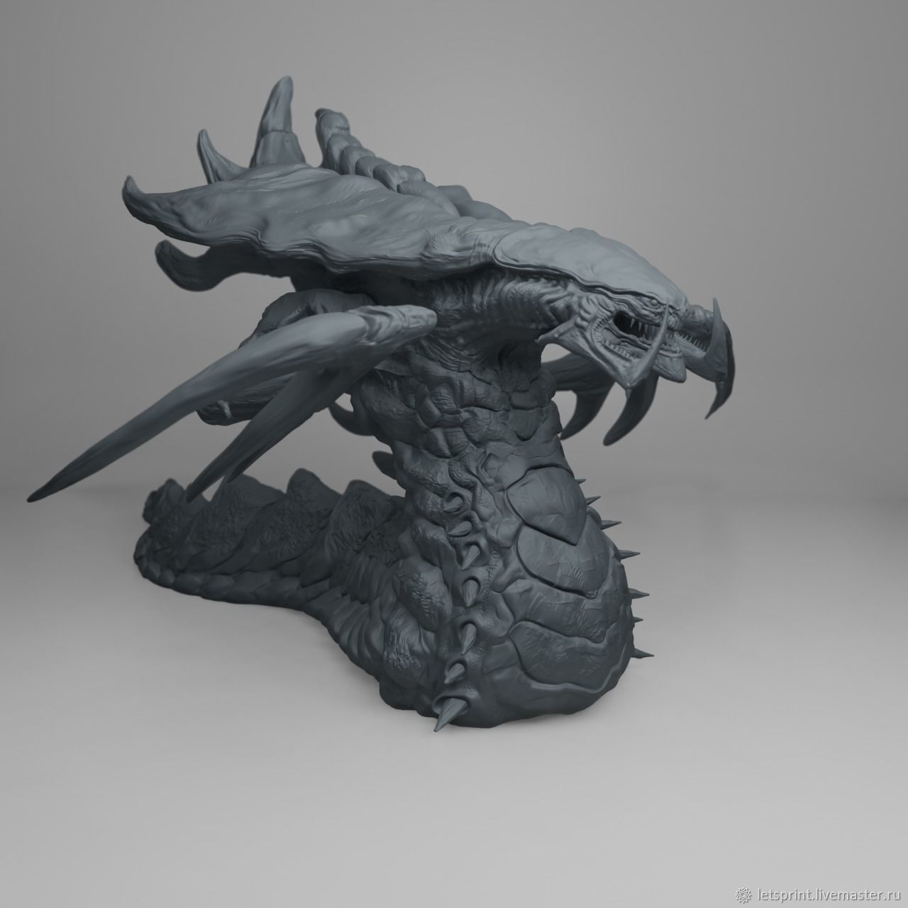 Kraken найдется все